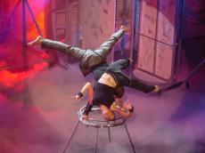 Traumtänzer mit Stickstoffbodennebel Traumtänzer mit Stickstoffbodennebel